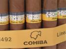 Cohiba photo